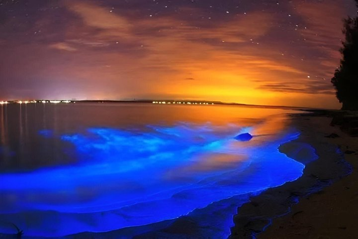Bioluminescence Kayak Tour Near Orlando - Photo 1 of 10